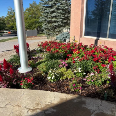 Boulder, CO Commercial Landscape Maintenance Company