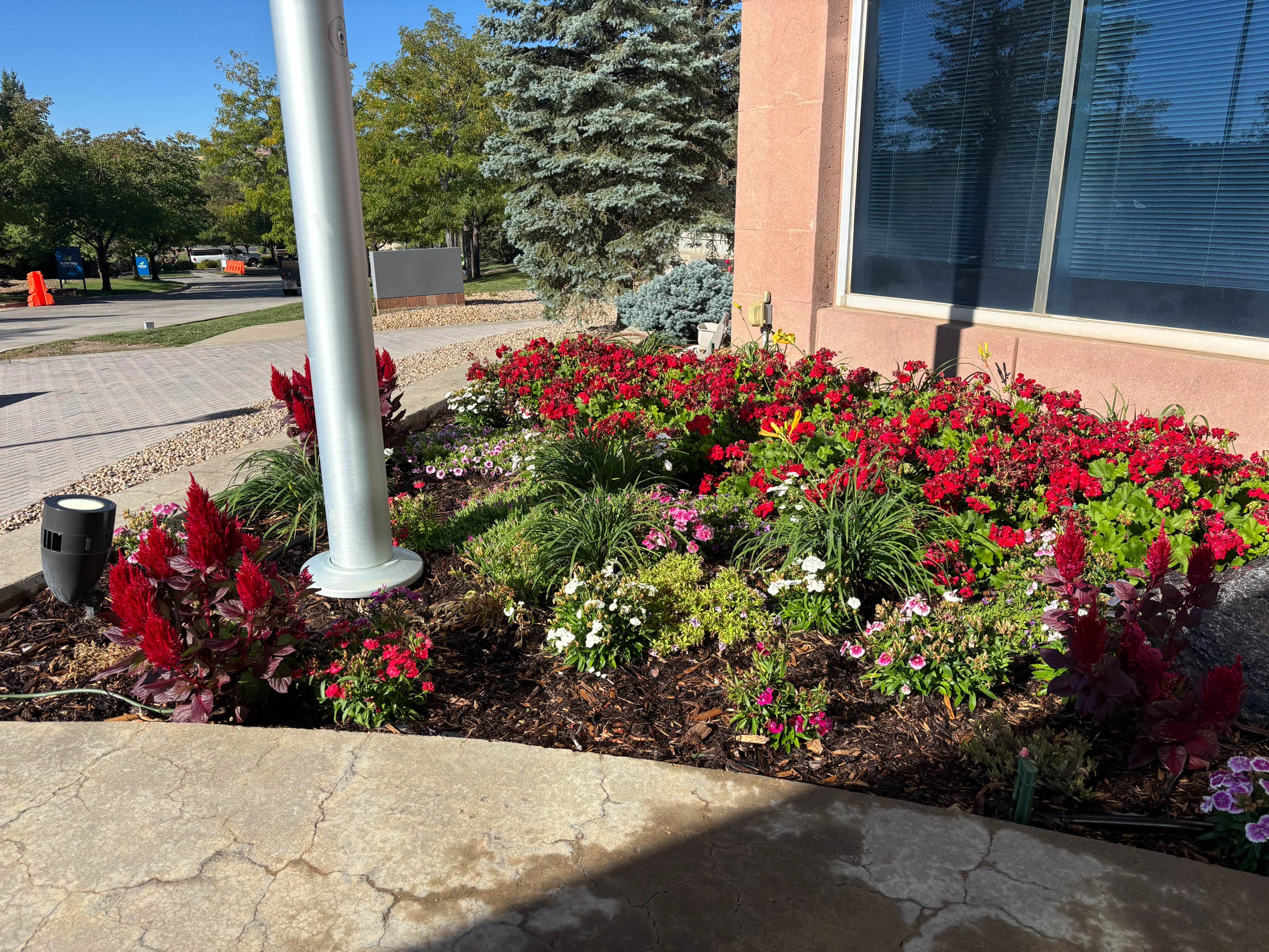 Boulder, CO Commercial Landscape Maintenance Company