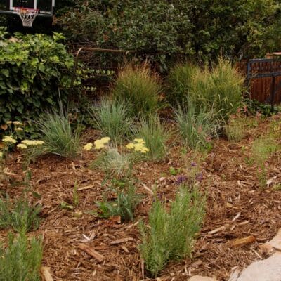 Boulder, CO Landscaping Company