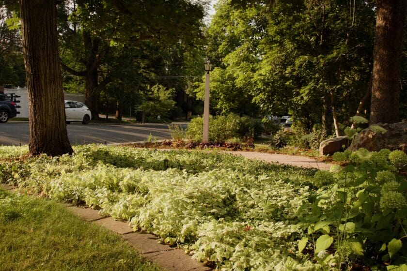 Boulder, CO Landscaping Company