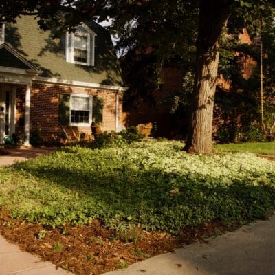 Boulder, CO Landscaping Company