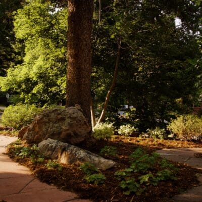 Boulder, CO Landscaping Company