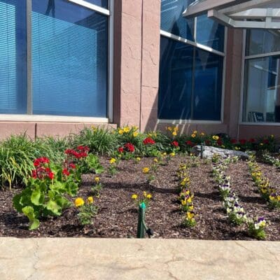 Landscape Design-