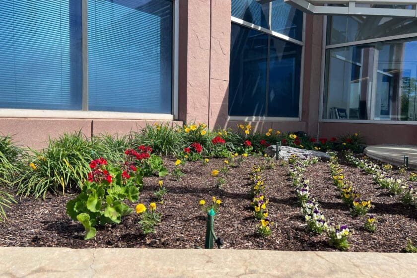 Landscape Design-