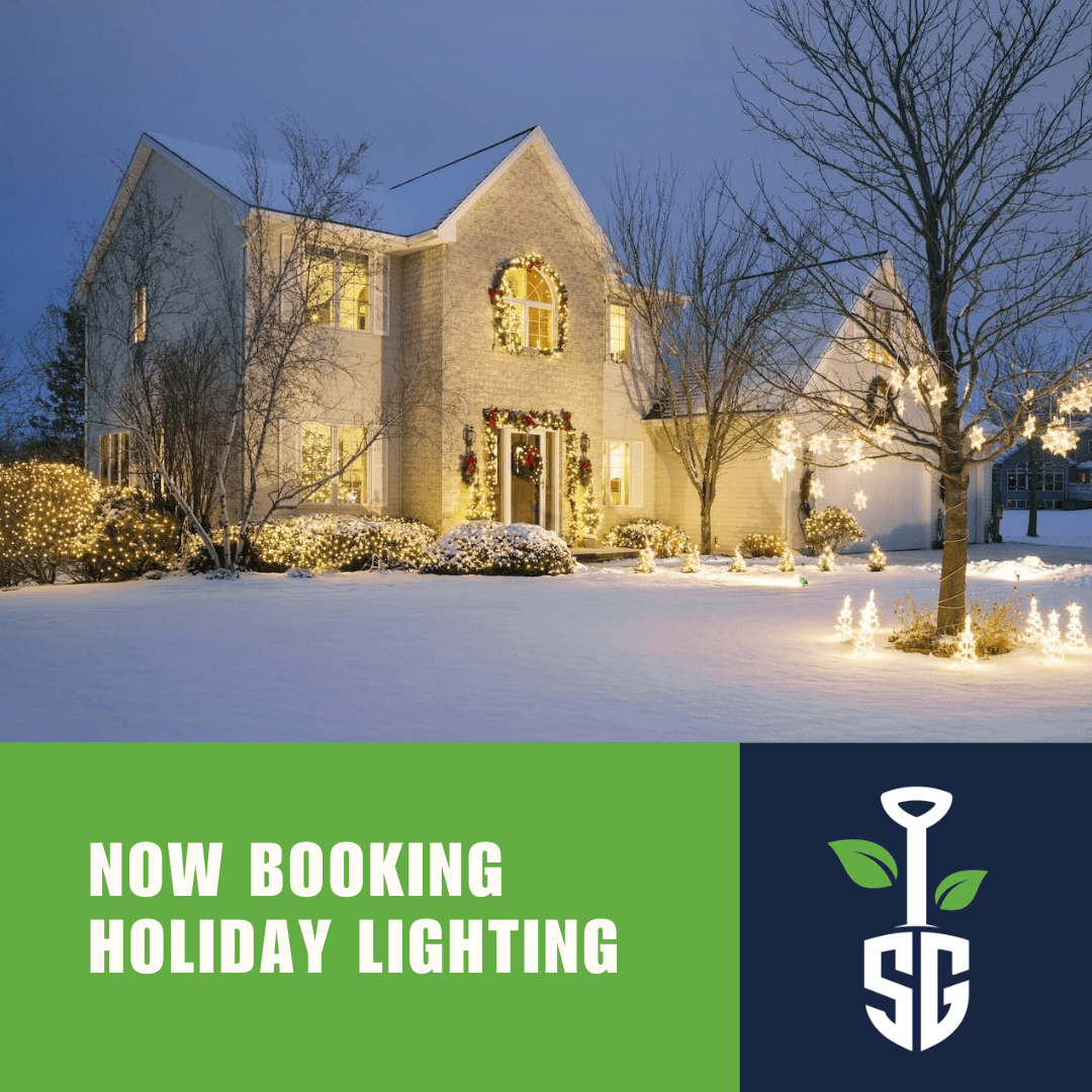 Solid Grounds Lawn & Landscape - Contact Page Holiday Lighting Ad