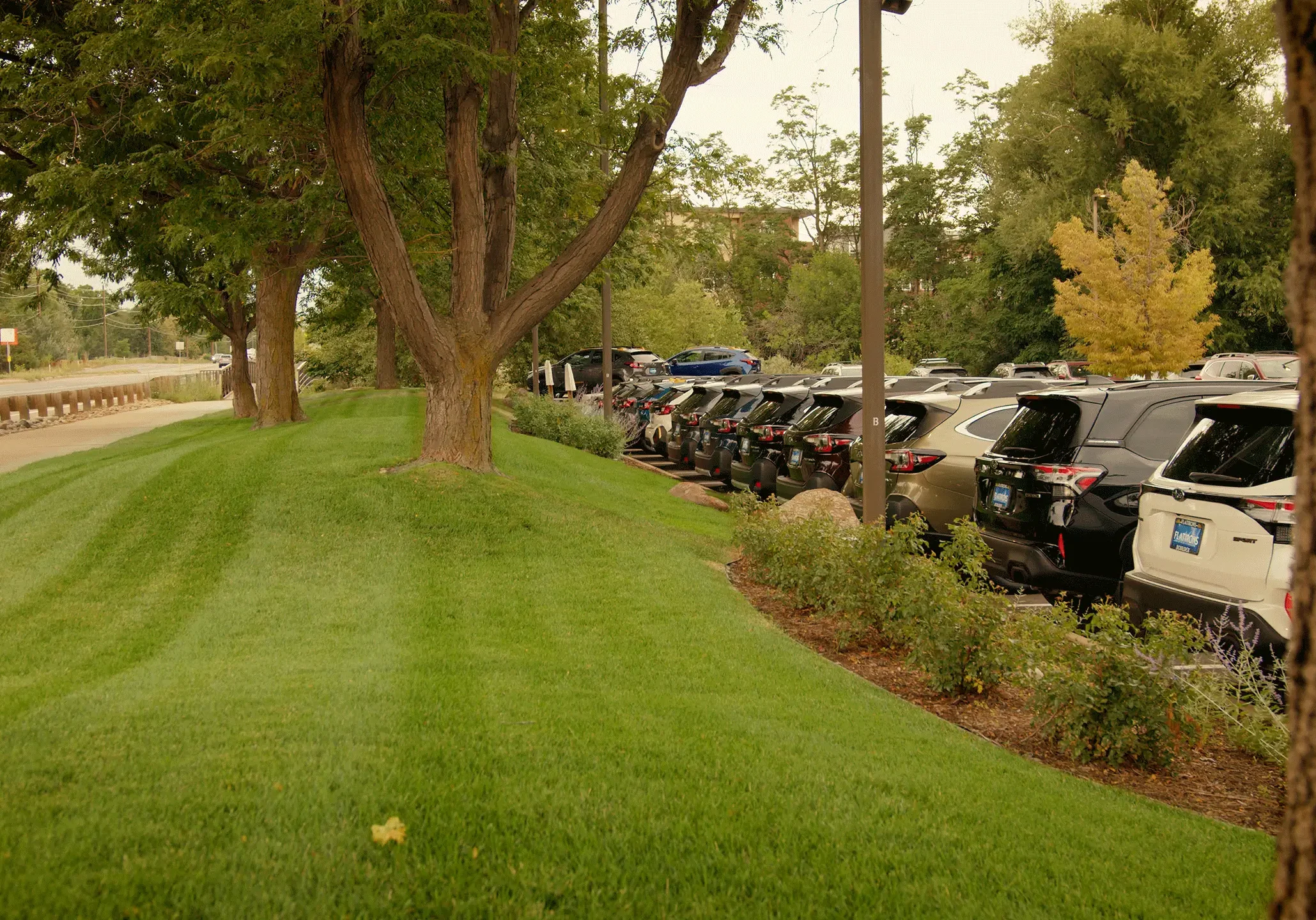 Boulder, CO Commercial Landscape Maintenace13