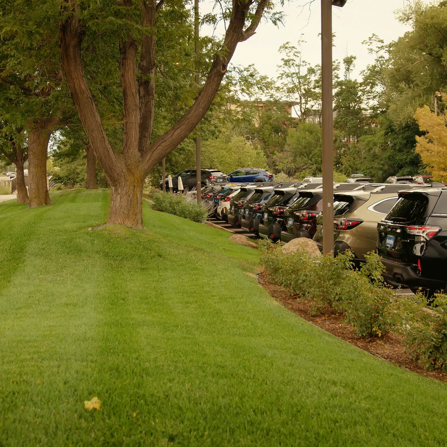 Boulder, CO Commercial Landscape Maintenace13 Boulder, CO Commercial Landscape Maintenace13