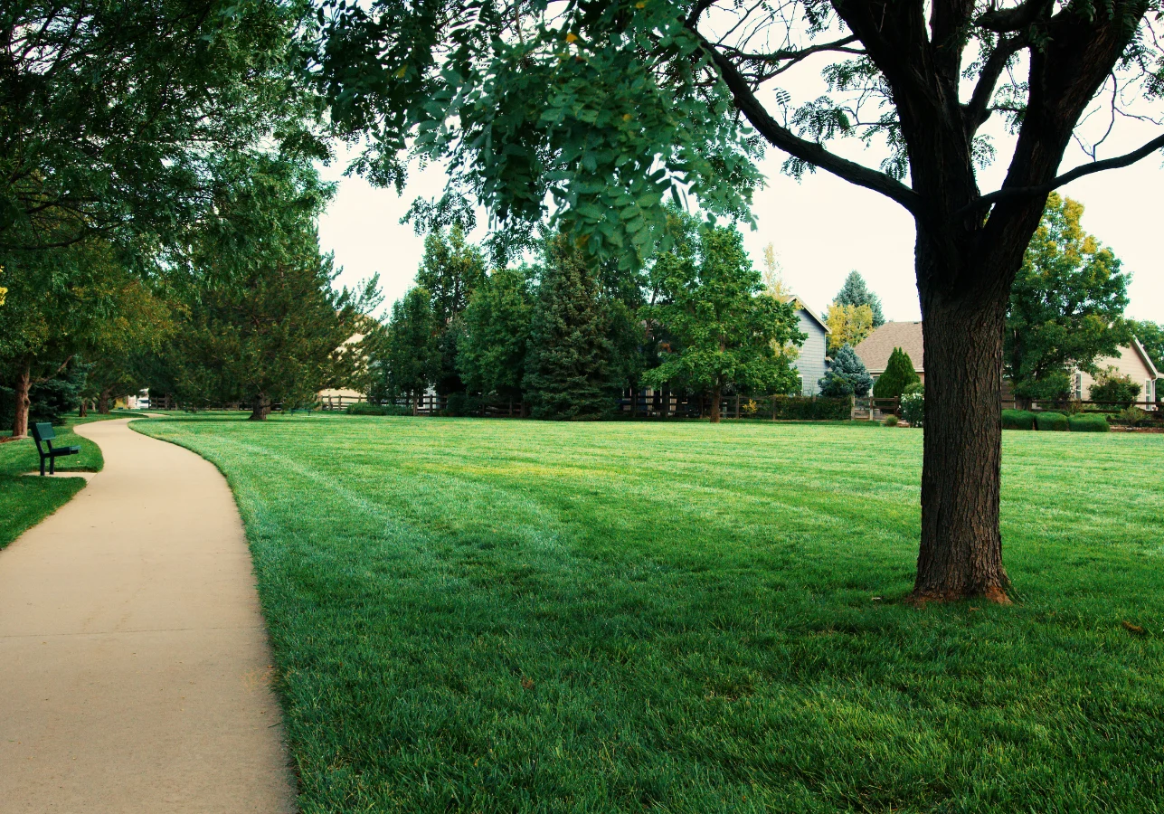 Boulder, CO Commercial Landscape Maintenance4