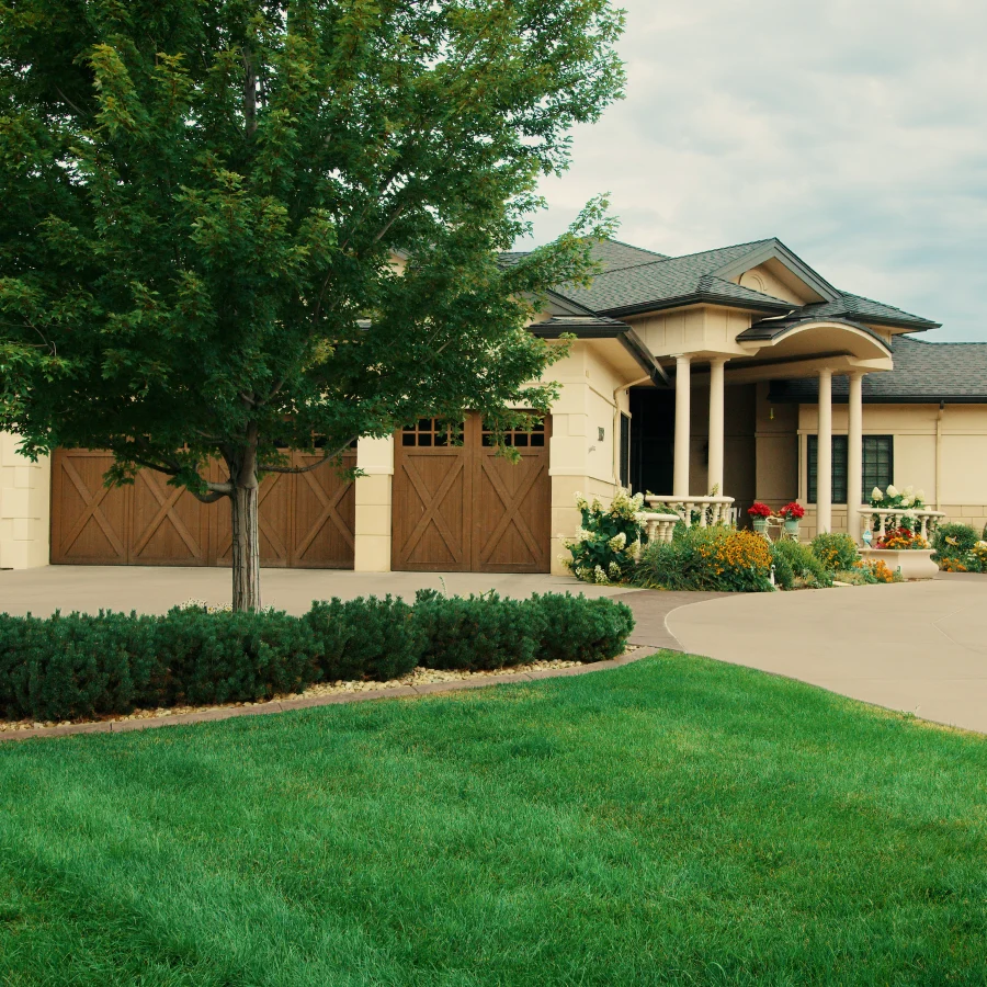 Boulder, CO Landscape Maintenance6