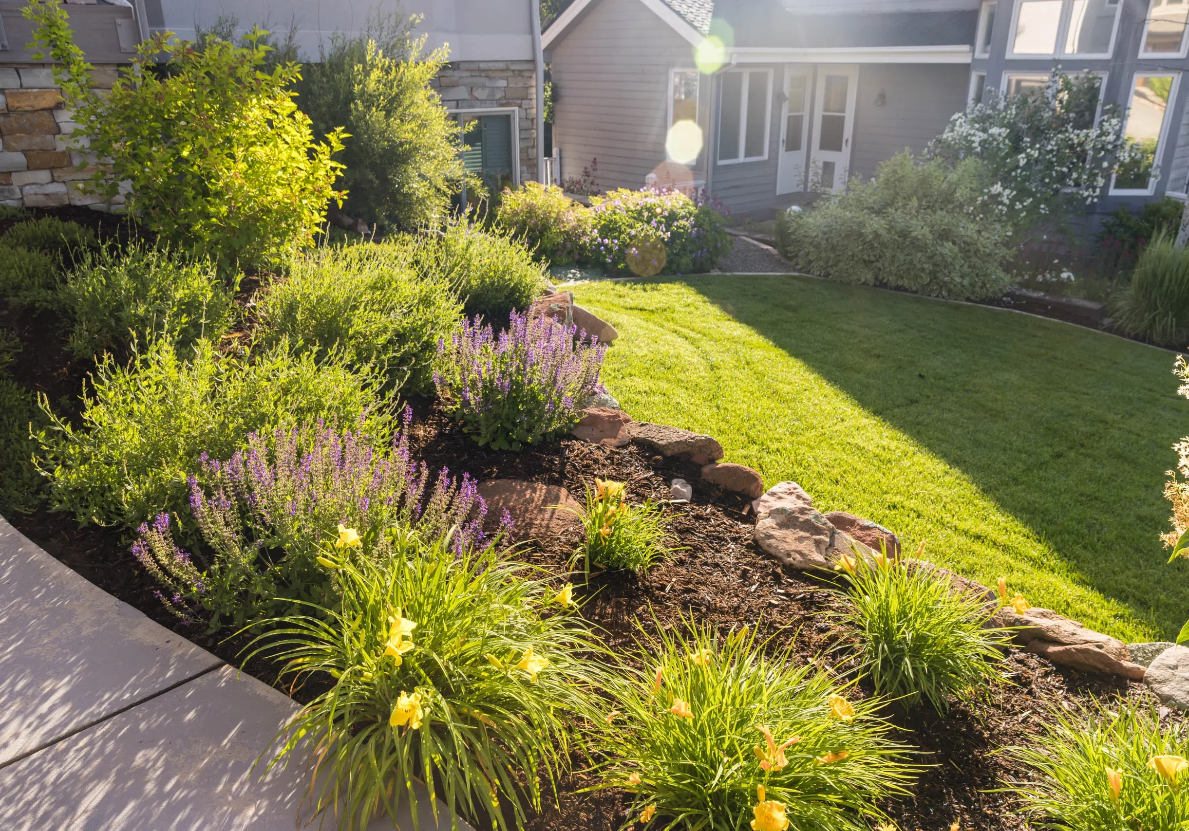 Frederick, CO Landscape Installation