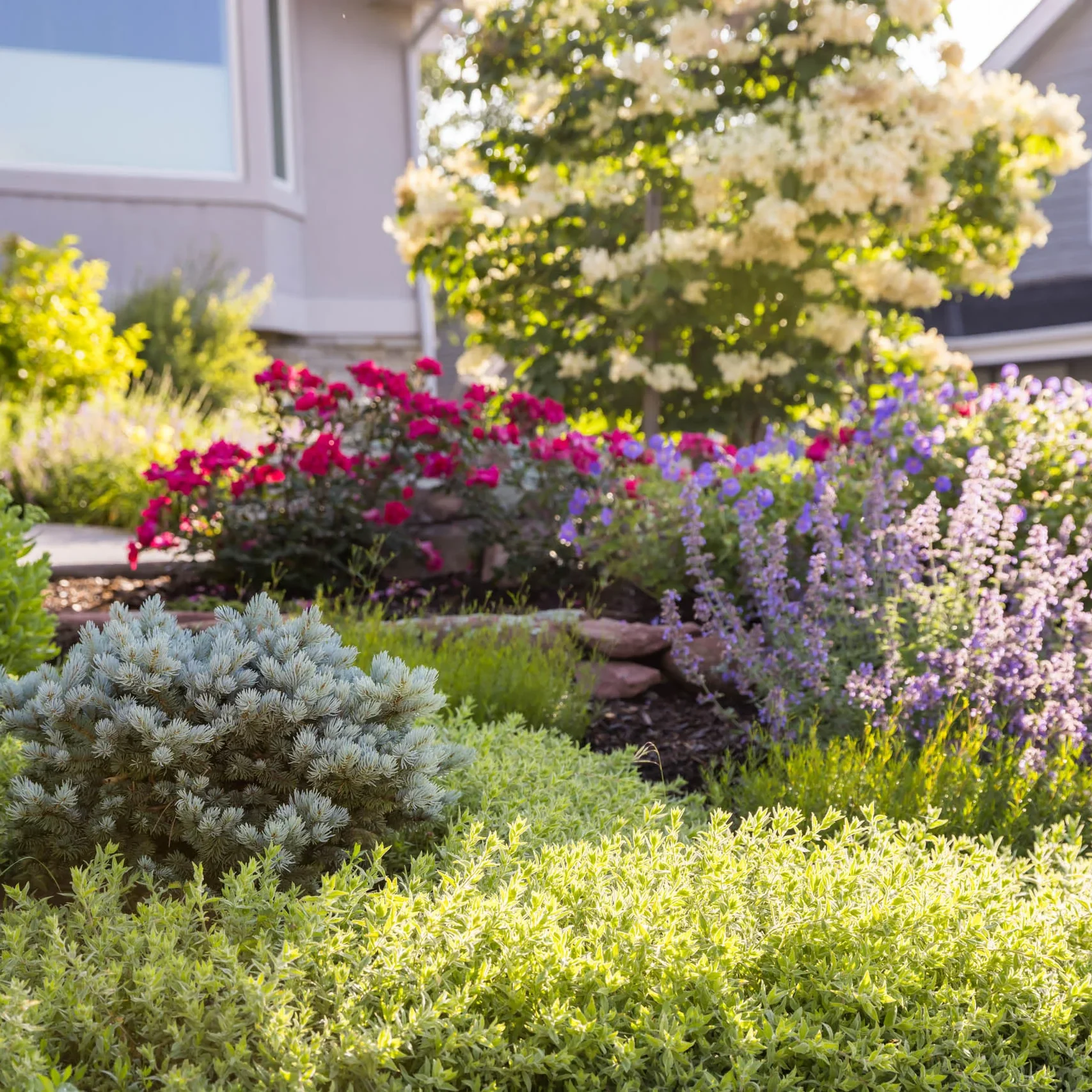 Lafayette, CO Landscape Design