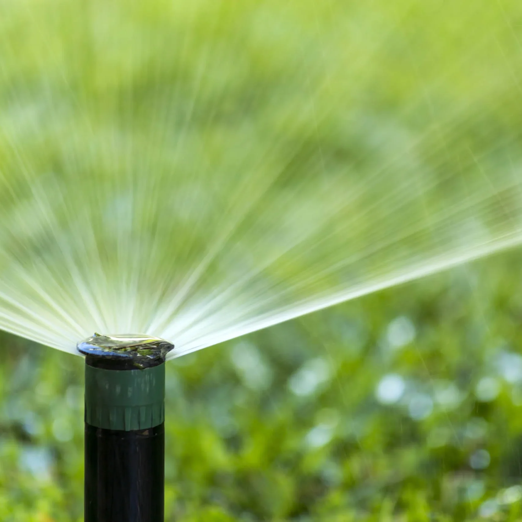 Canstockphoto28585493 Canstockphoto28585493