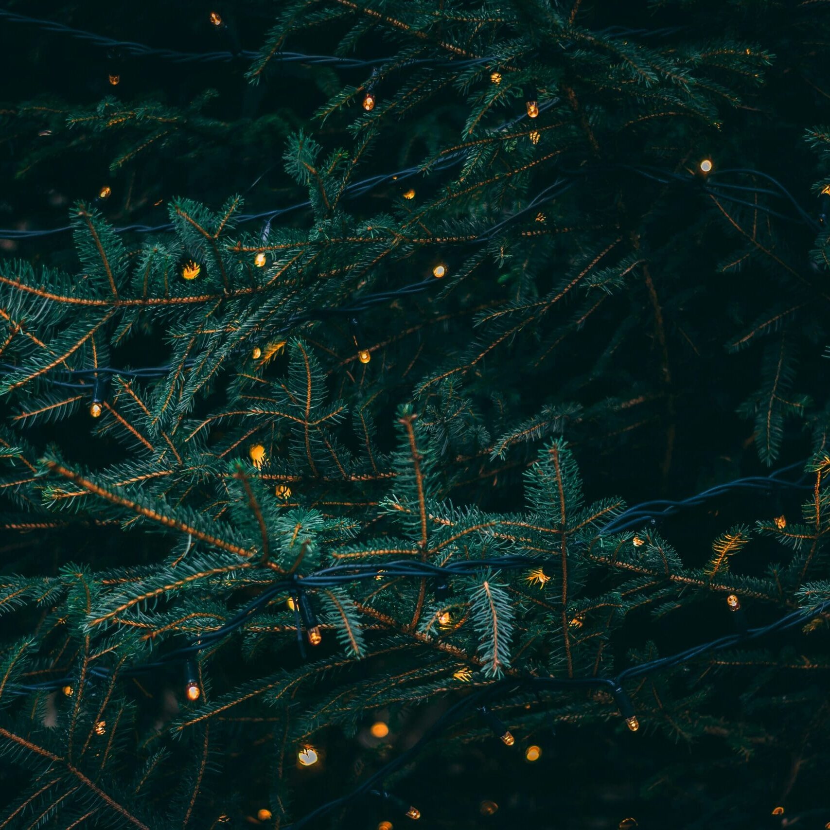 Kieran White SBdmQcW8qag Unsplash