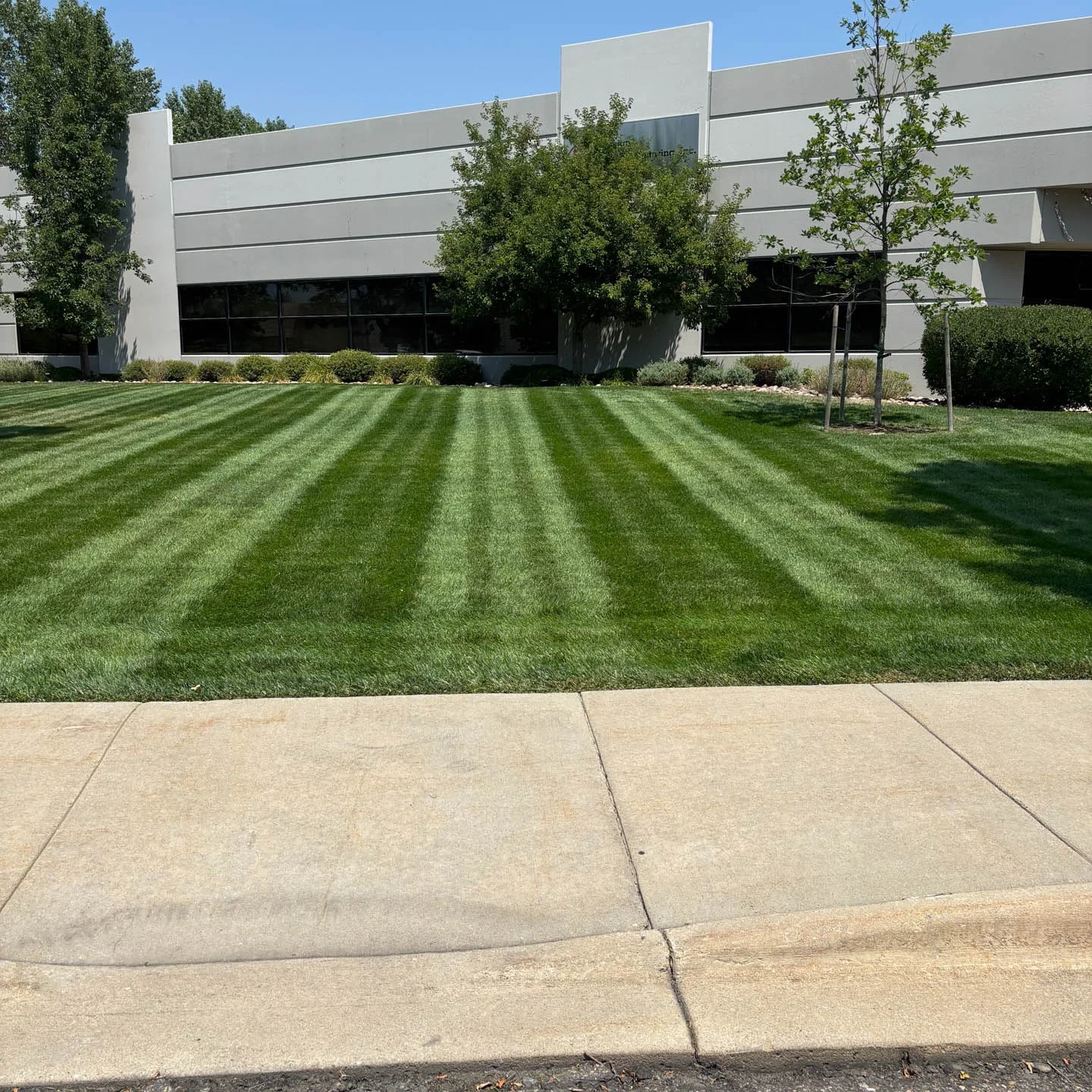 Landscape Maintenance 2 Boulder, CO Commercial Landscape Maintenance Company