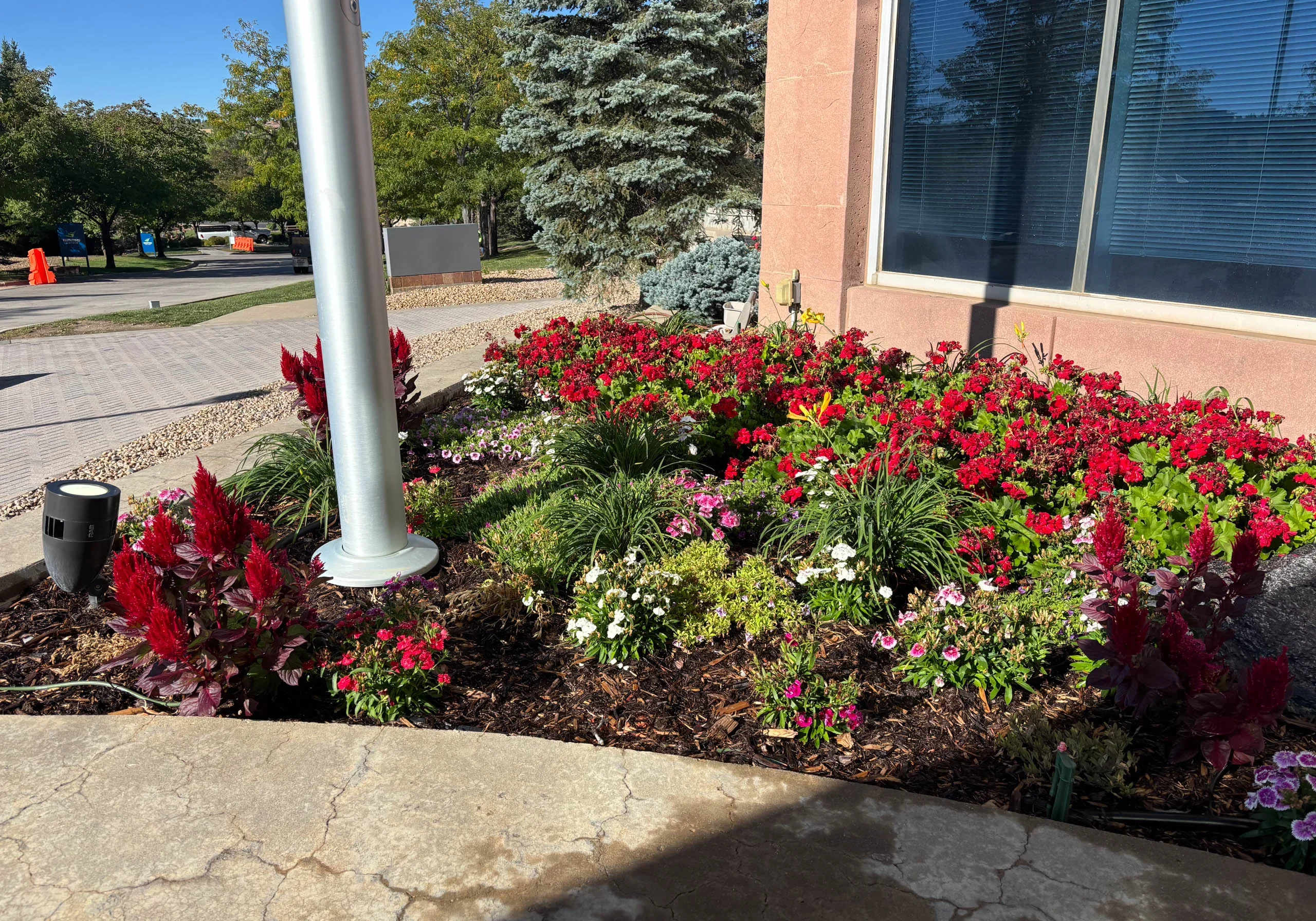 Landscape Maintenance 3 Boulder, CO Commercial Landscape Maintenance Company