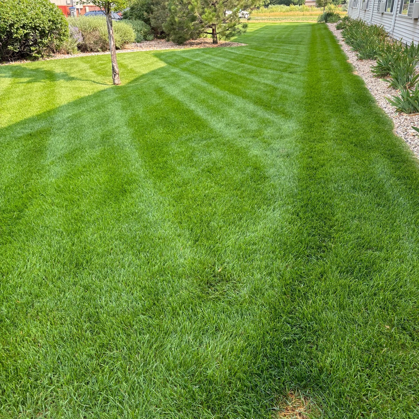 Landscape Maintenance Landscape Maintenance